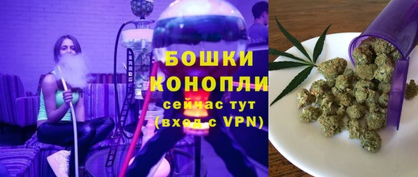 дживик Киренск