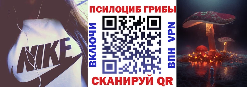наркотики  Узловая  MEGA вход  Псилоцибиновые грибы мицелий 