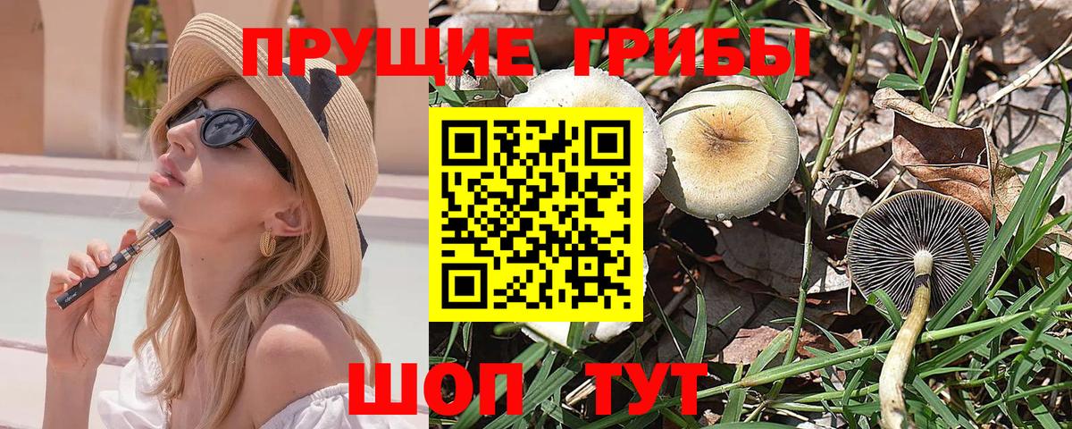 Псилоцибиновые грибы прущие грибы Узловая