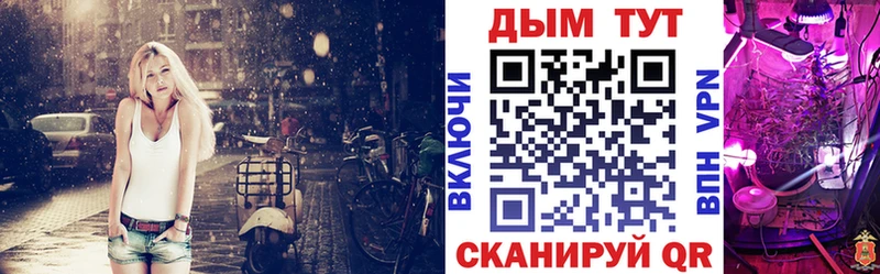Конопля конопля Узловая