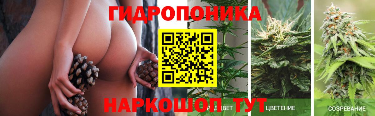 Бошки марихуана THC 21% Узловая